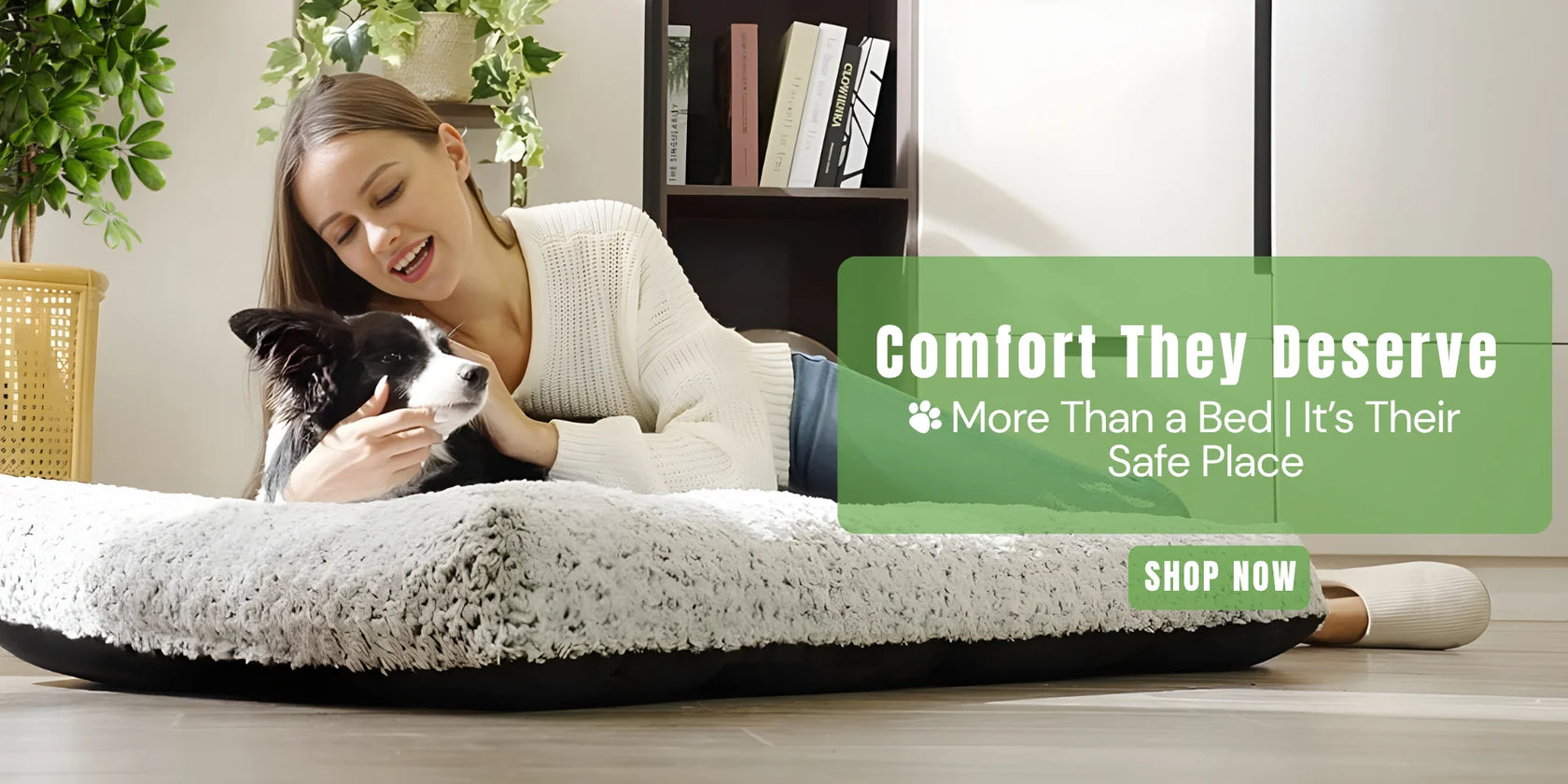 WoofyPlus_Bed Collection