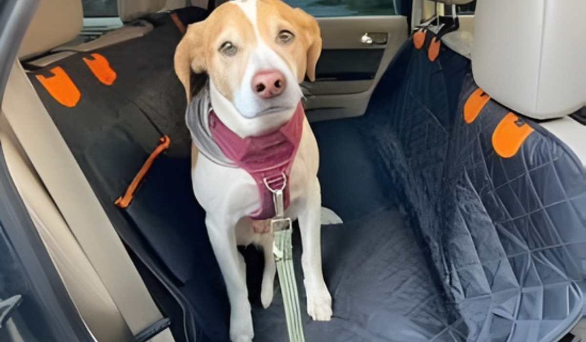 Dog car seat cover