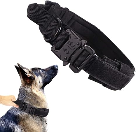 Black Cute dog collar — WoofyPlus 
