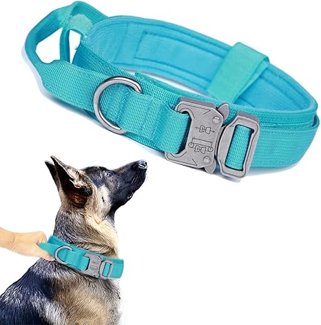 Blue Cute dog collar — WoofyPlus 