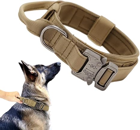 Camo Cute dog collar — WoofyPlus 