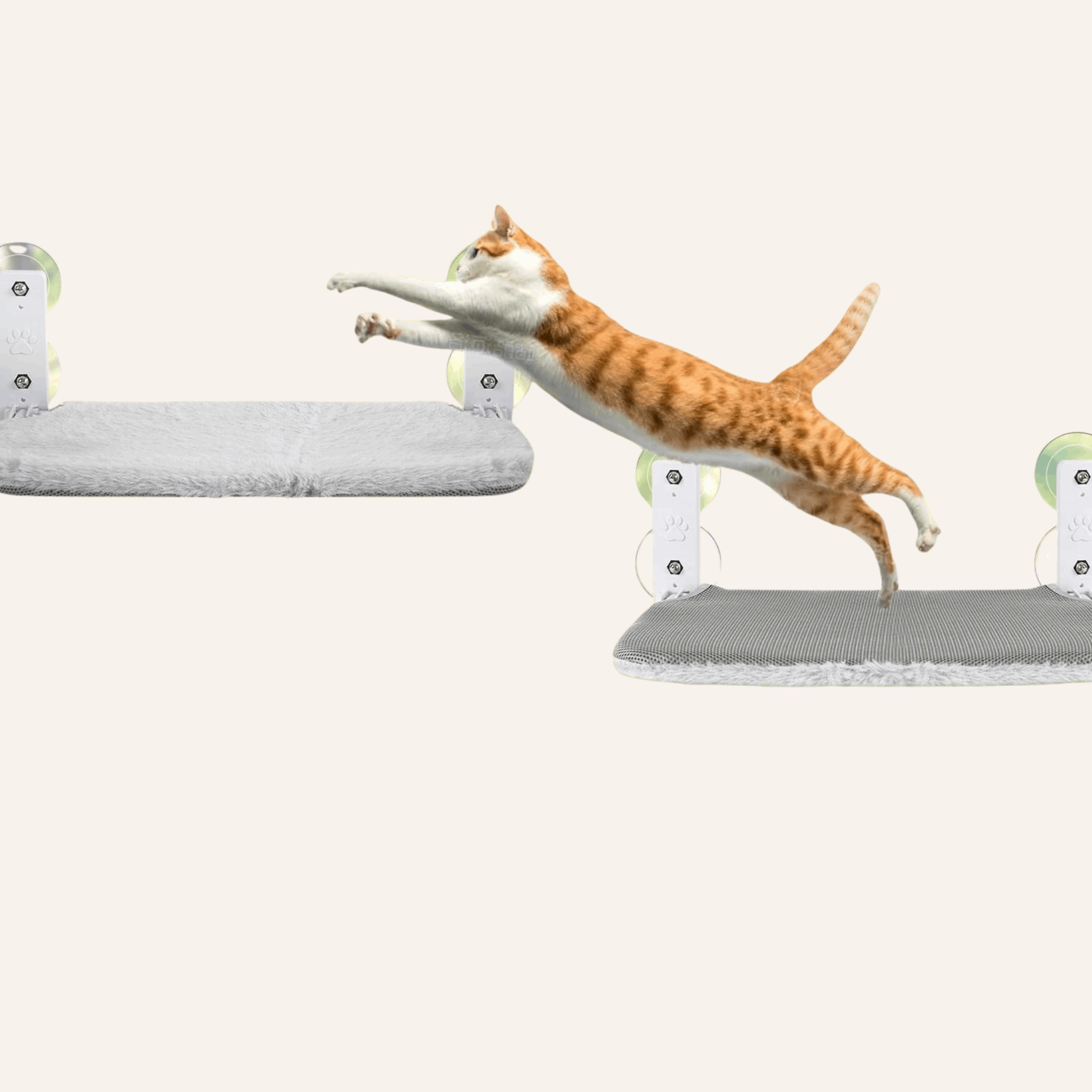 Cat window hammock — WoofyPlus 
