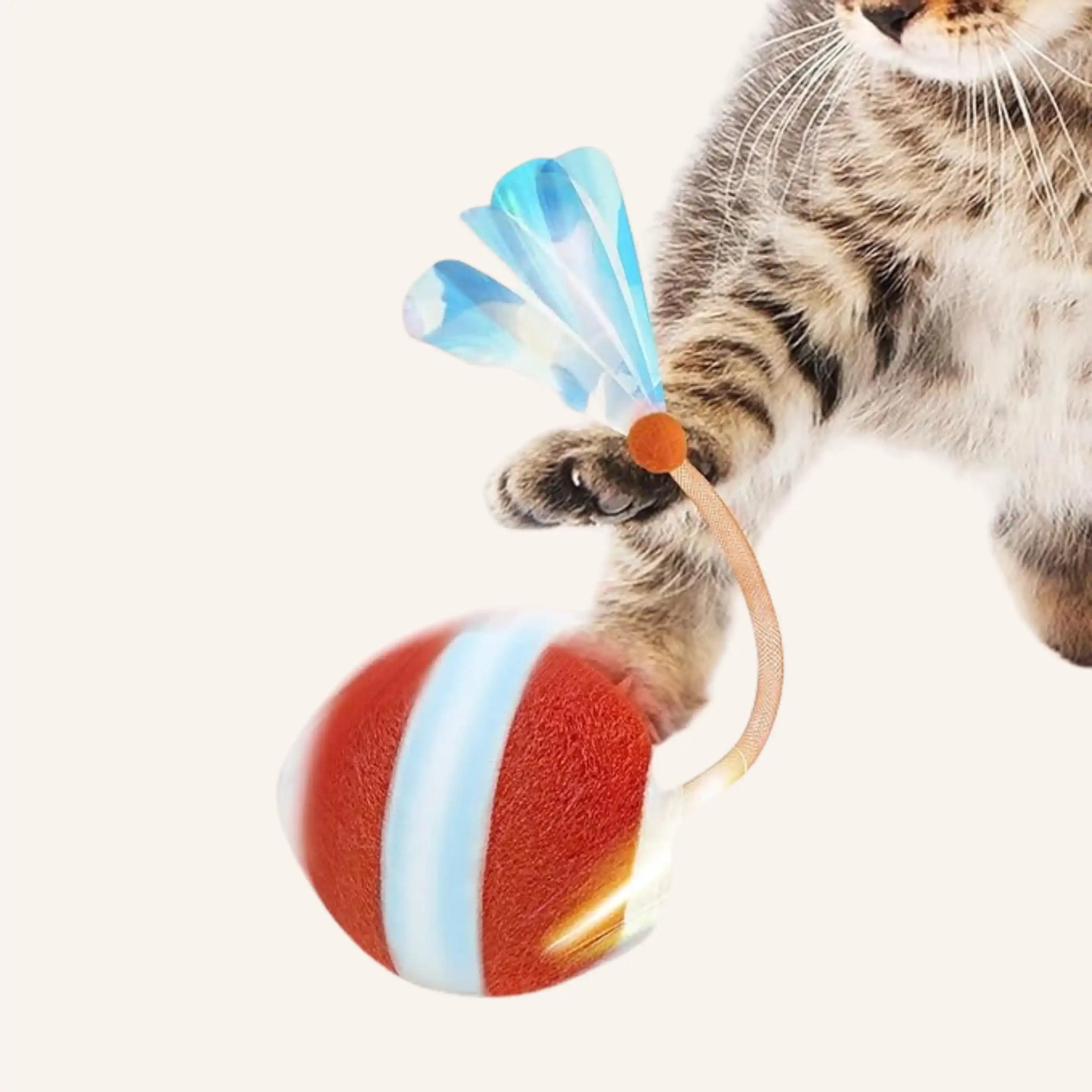 Cat toy ball — WoofyPlus 