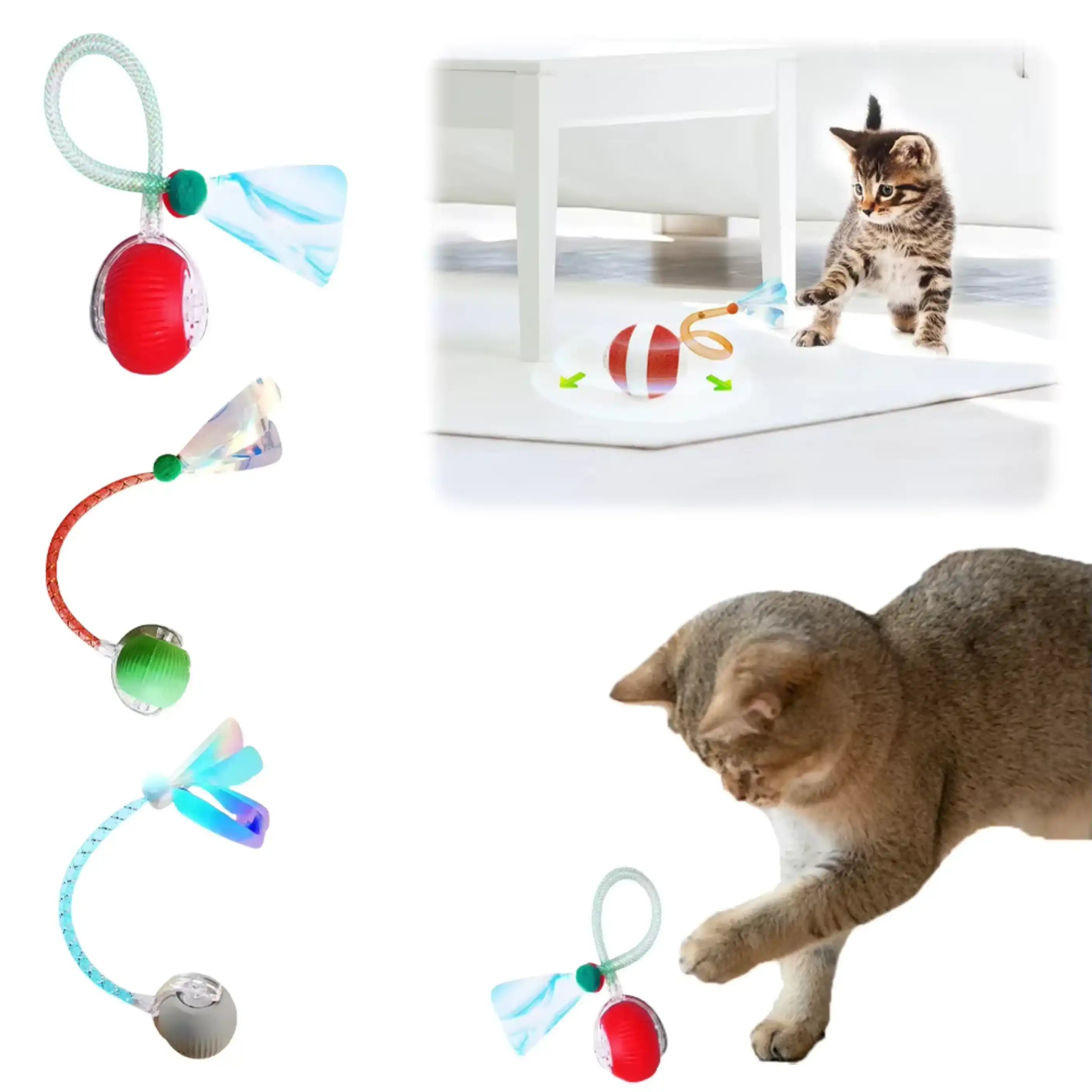 Colorful Cat toy ball — WoofyPlus 
