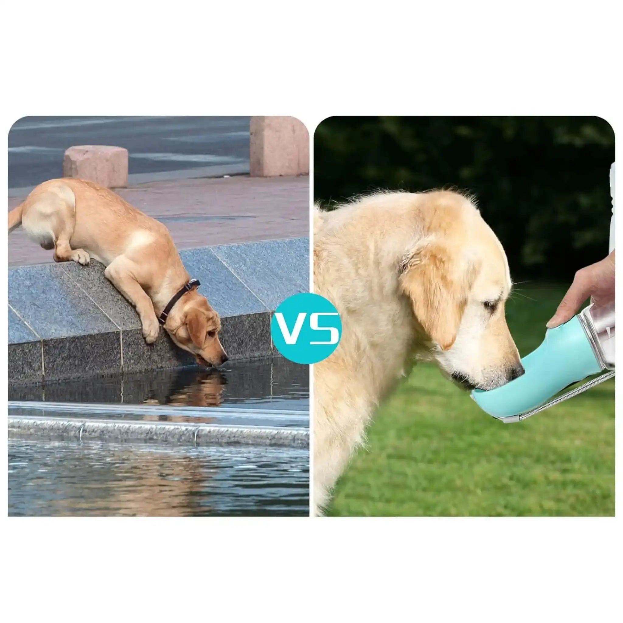 Dog Water Bottle — WoofyPlus