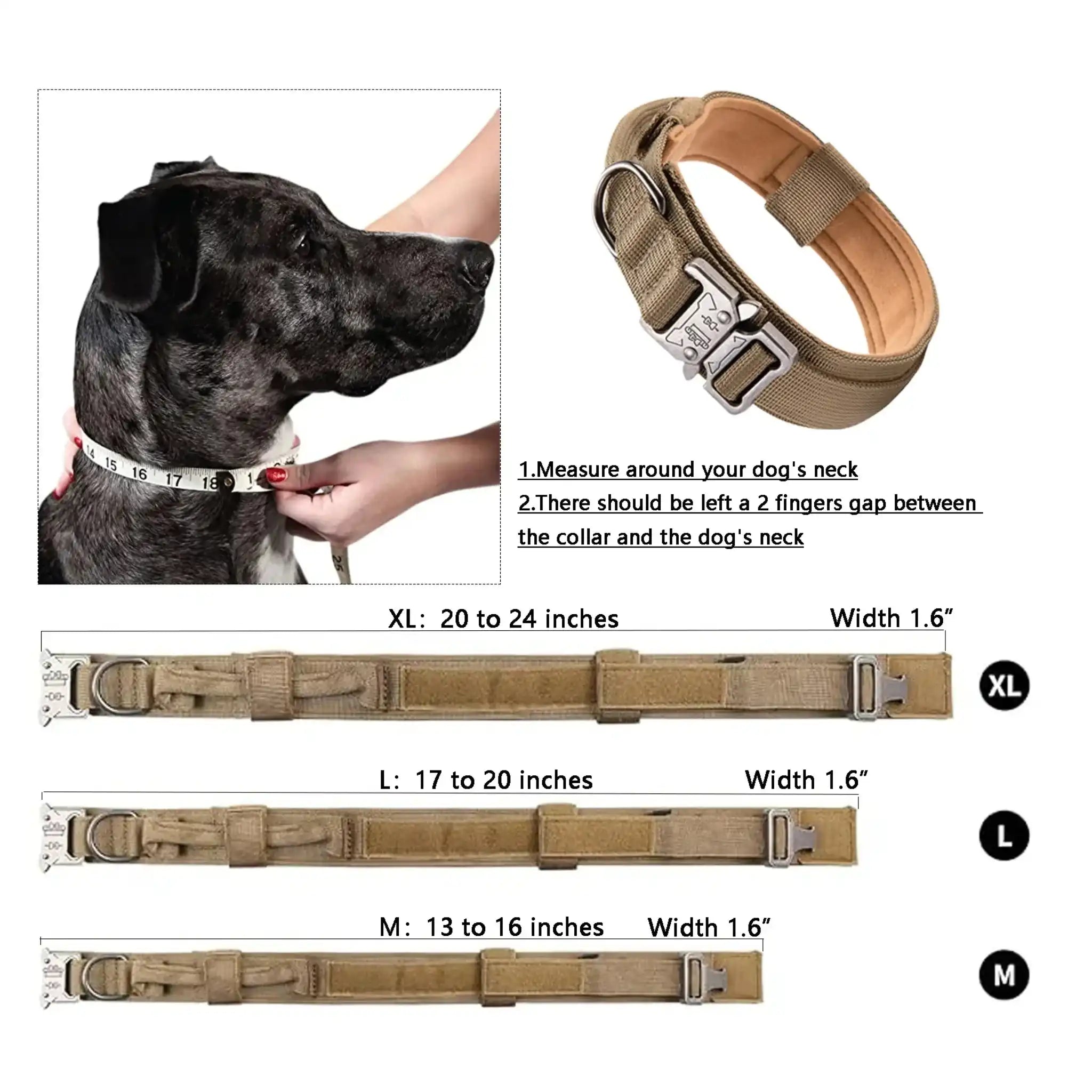Cute dog collar  with measurement— WoofyPlus 
