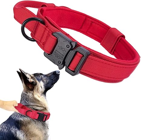 Red Cute dog collar — WoofyPlus 
